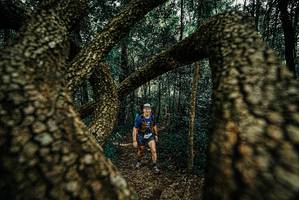 BIB: 
                            <button type="button" onclick="openModal(25672634)" class="btn btn-primary btn-sm float-right btn-popup" data-toggle="modal" data-target=".modal-high-quality">
                        <i class="fas fa-shopping-cart"></i> Add to Cart
                    </button>
                                            <button type="button" onclick="isThisMe(25672634, true)" class="btn btn-success btn-sm float-right btn-popup btn-isme hidden" data-toggle="tooltip" data-placement="bottom" title="นี่คือรูปของคุณใช่ไหม คลิกที่นี่เพื่อเอาเข้าอัลบั้ม">
                        <i class="fas fa-plus"></i> Add to album
                    </button>
                    <button type="button" onclick="isThisMe(25672634, false)" class="btn btn-warning btn-sm float-right btn-popup btn-isnotme hidden">
                        <i class="fas fa-ban"></i> Remove from album
                    </button>